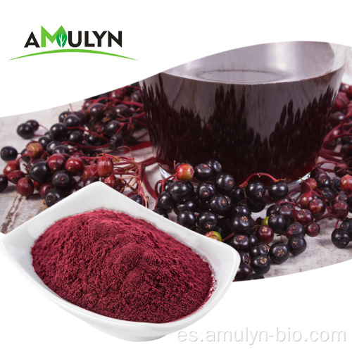 Black Elderberry Extract Powder Mejorar la inmunidad